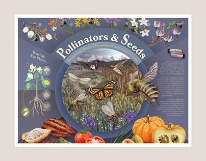 Pollinators & Seeds Poster