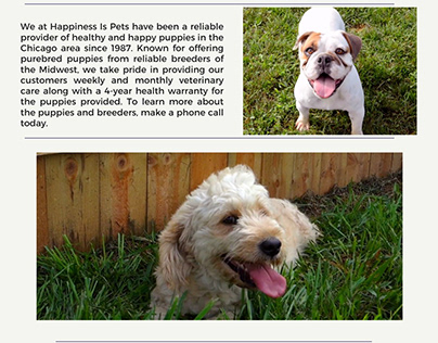 Find Your Nearest Happiness Is Pets Location