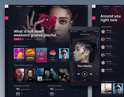 NakedGroove: Online Music Streaming Platform