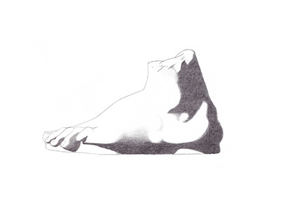 Foot Lateral View - Graphite Illustration