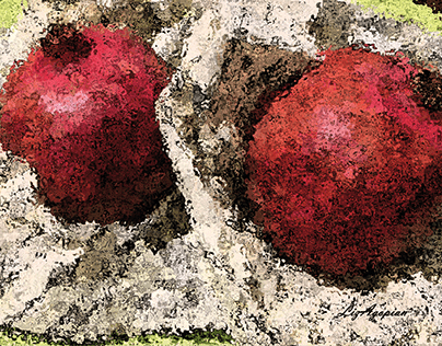 Pomegranates N° 14