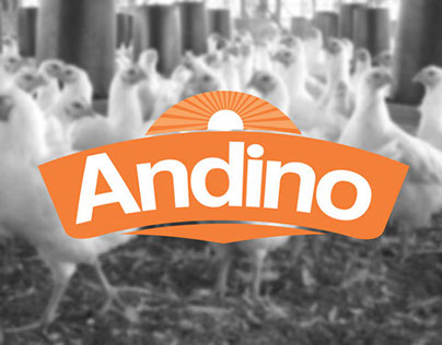 Andino