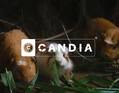 Project thumbnail - Candia REBRANDING