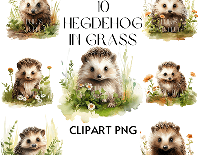 Hegdehog in grass watercolor