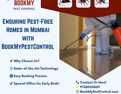 Ensuring Pest-Free Homes in Mumbai
