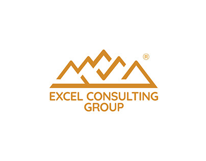 EXCEL CONSULTING GROUP