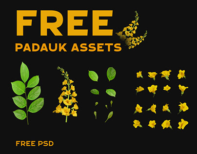 FREE PADAUK ASSETS - PNG/PSD