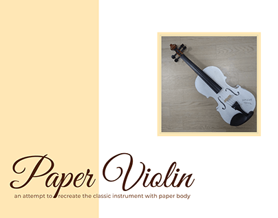 Paper Violin: An attempt to make an acoustic violin