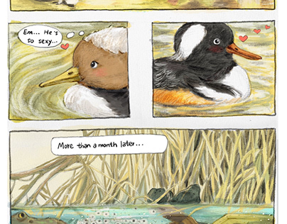 Merganser duck comic story
