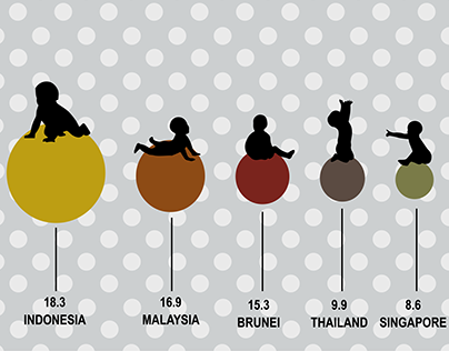 Birth Rate Infographic