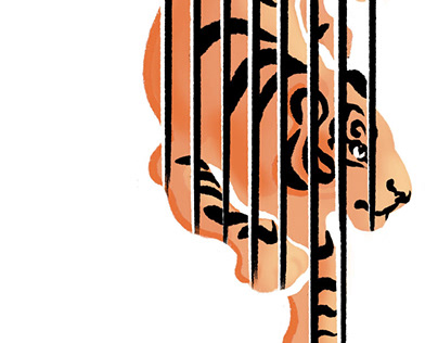 Captive Tigers - Editorial Illustration