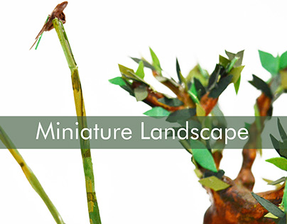 Miniature Landscape Design