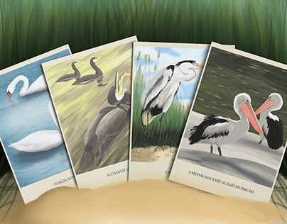 Training cards "Birds"