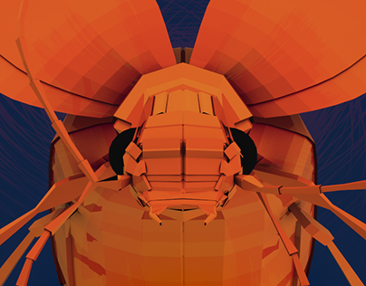 Portrait of a Pixel-Perfect Bombardier Beetle