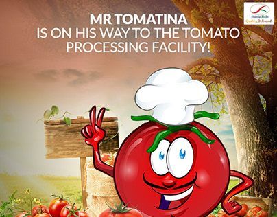 MR Tomatina (Tomatoes)