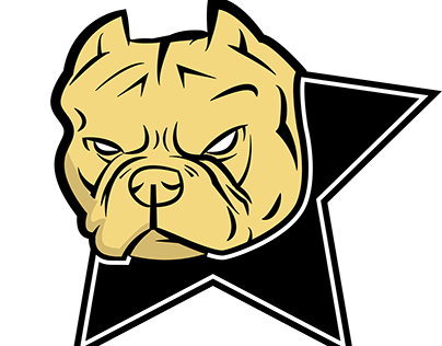 Star City Bullyz Logo Design