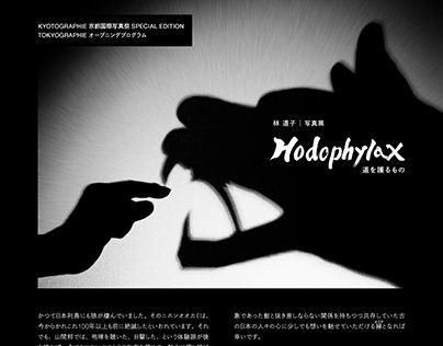 “Hodophylax” by Michiko Hayashi / Leaflet, Panel design