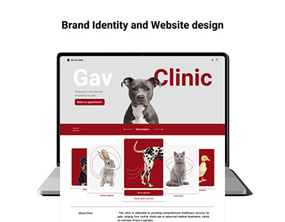 Brand Identity | Website design | GAV CLINIC