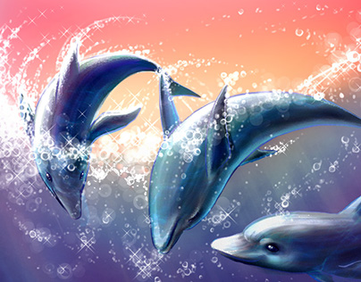 Dolphins - 2010