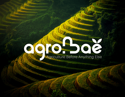 AgroBae Brand Identity Design