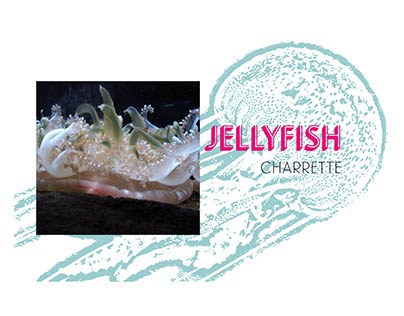 Jellyfish Charrette