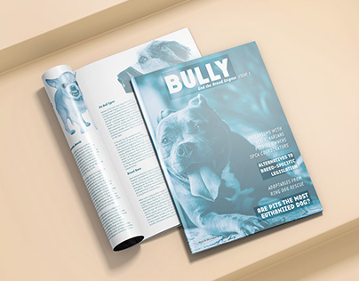 BULLY Magazine