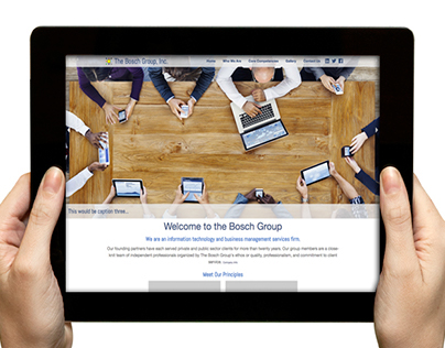 The Bosch Group, Inc.