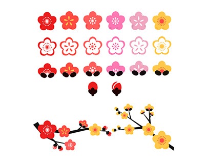 Plum Blossom Flower Illustration