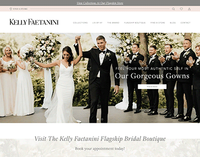 Kelly Faetanini Website