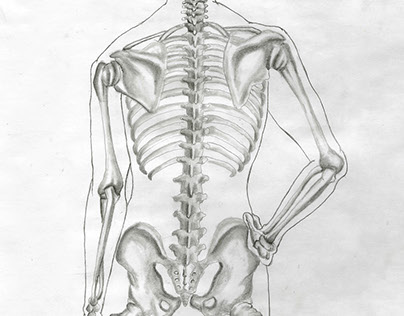 Fine Arts: Anatomy Study