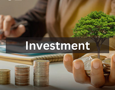 What is Investment and Types of Investment?