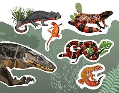 Brad’s World Reptiles educational poster collection