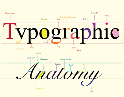 Typographic Anatomy