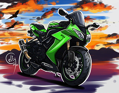 2021 Kawasaki Ninja ZX10R Review Test Ride  MotorBeam