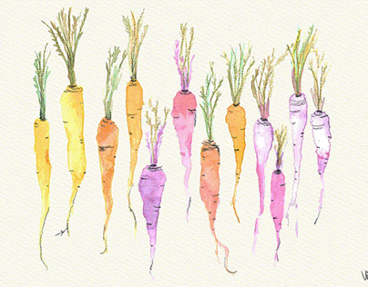 Ilustraciones sobre diversidad de cultivos