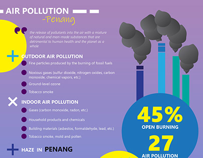 Pollution Infographic Series