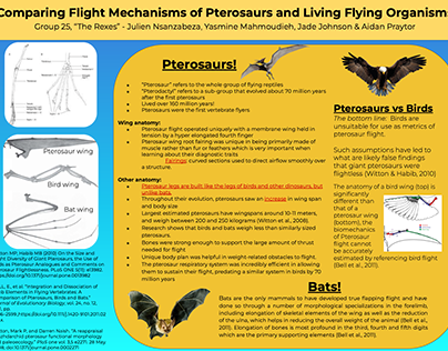 Comparing Flight Mechanisms of Pterosaurs...