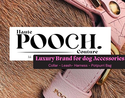 Haute Pooch Couture: Functional Fashion