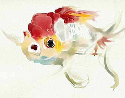 Watercolor gold fish Adobe Fresco