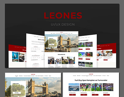 Project thumbnail - Leones Web Design