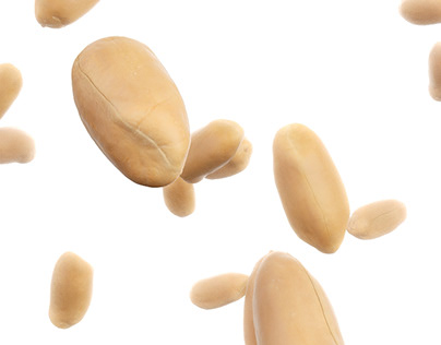 CG Food - Inside a Peanut