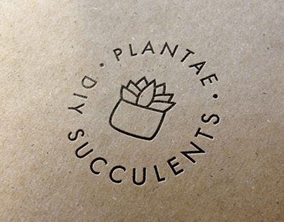 Plantae| DIY Succulents