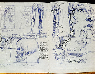 A Collection of Sketchbook Pages