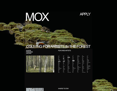Identity video for MOX