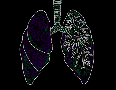 Lungs and layers