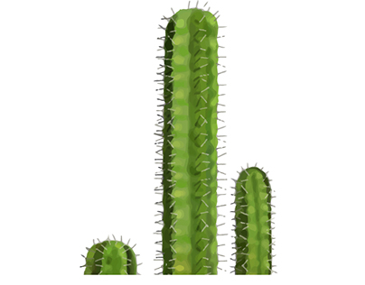 cactus interruptus