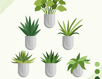 Vector plants and pots collection