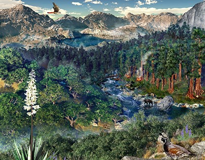 Sequoia & Kings Canyon National Park Art