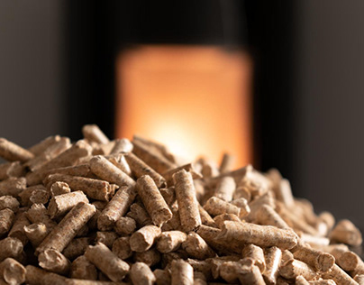 Cambio energético en zonas rurales: biomasa al rescate