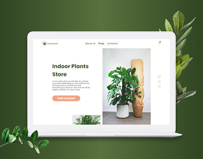 Indoor plants store
